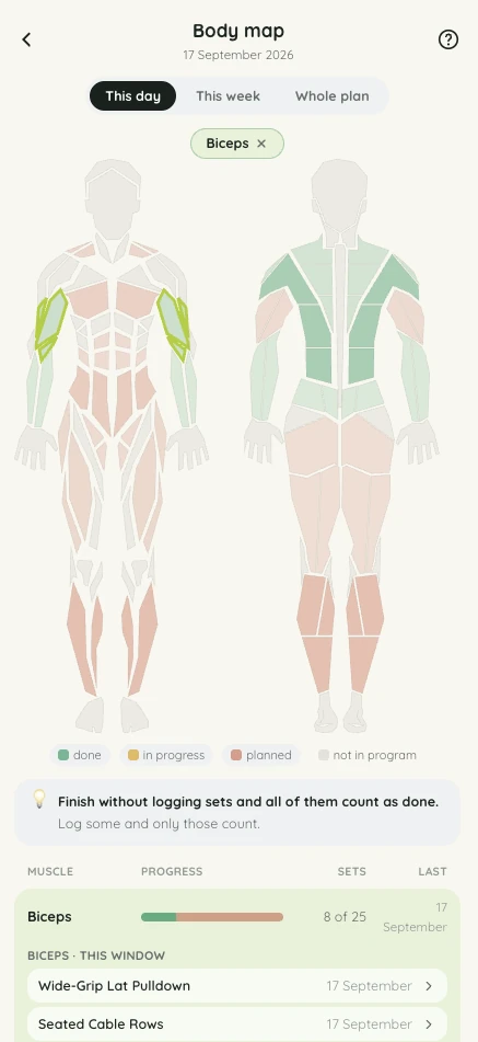 Fitlyze body map filtered to biceps: the muscles this session trains and the exercises that hit them
